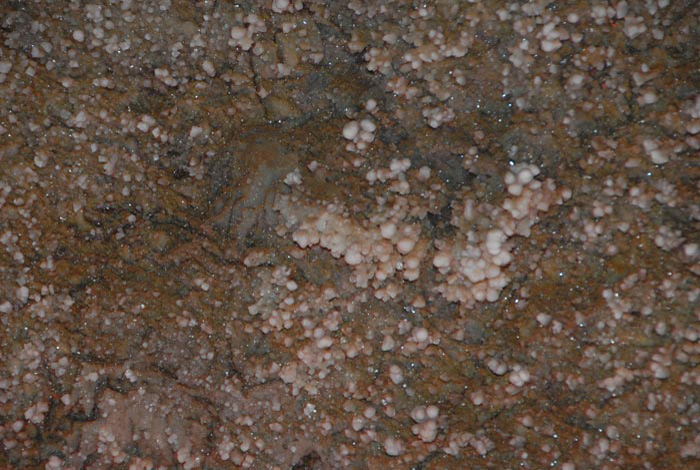 Treffen Braunfels 2007 087